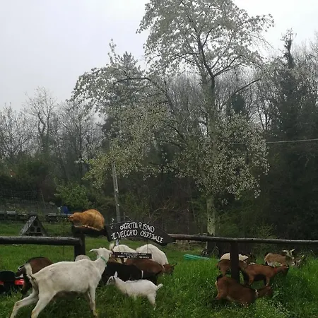 Agriturismo Il Vecchio Ospitale