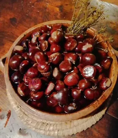 Gospodarstwo agroturystyczne Agriturismo Il Vecchio Ospitale *