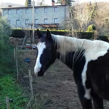 Agriturismo Il Vecchio Ospitale Aramo